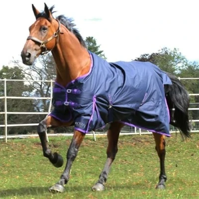 Image of Gallop Trojan Lightweight Turnout Rug/Rain Sheet No Fill. 6`3&quot;