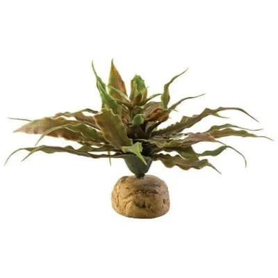 Image of Exo Terra Star Cactus