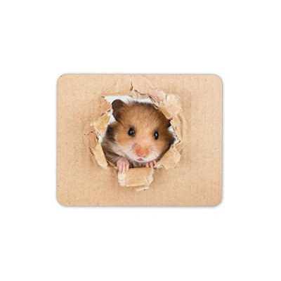 Image of Destination Vinyl Ltd Funny Hamster Mouse Mat Pad Rodent Kids Girls Boys PC Computer #8521