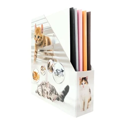 Image of HERMA 19717 Magazine File A4 with Cat Motif, 7.5 cm Wide, Foldable, Sturdy Cardboard, Slim Holder for Girls and Boys, Standing Folder Storing Documents, Folders