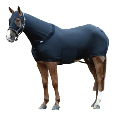 Image of WeatherBeeta Stretch Rug, Black, Full