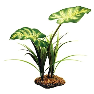 Image of Komodo Broadleaf Canopy