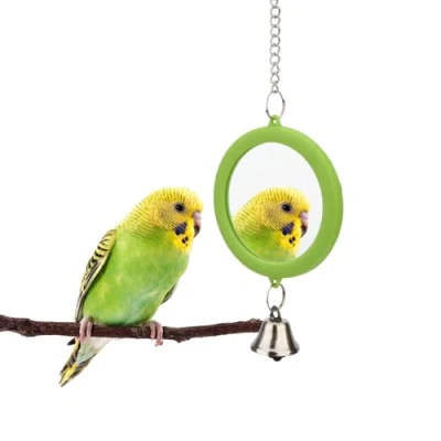 Image of Hypeety Pet Bird Mirror with Bell Interactive Parrot Toy Cage for Cockatiel Parakeets Canaries Budgie (RED)