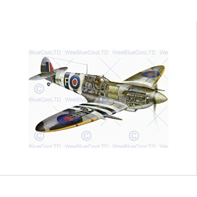 Image of Wee Blue Coo ILLUSTRATION 1941 SUPERMARINE &#039;SPITFIRE&#039; NEW BLACK FRAME FRAMED ART PRINT PICTURE + MOUNT B12X10708