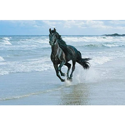 Image of LARGE CANVAS ART PRINT HORSE RUNNING ON THE SEASSHORE READY TO HANG 30 X 20 INCHES