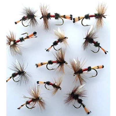Image of BestCity Fly Fishing DRY ROYAL COACHMAN Set of 16 trout flies with Clip shut Box