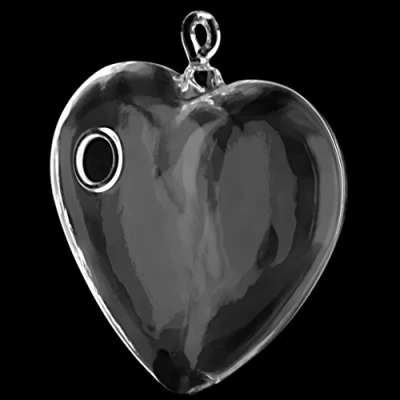 Image of Générique Heart Shape Hanging Glass Bauble Plant Flower Vase Decoration Clear 10 x 10cm