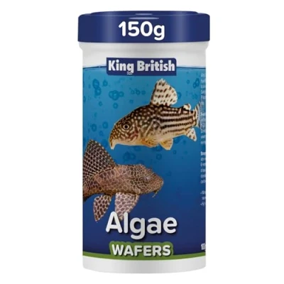 Image of King British Algae Wafers 100g Multi Vitamin Complete Sinking Fish Food For Bottom Feeding Catfish, Plecostomus &amp; Eating Natural Ingredients