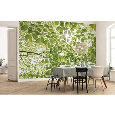 Image of Komar SHX5 045 Non Woven Photo Wallpaper in Spring Forest Design XXL Decoration Nature Landscape Bedroom Living Room Office Hallway Size 250 x 280 cm (Width Height) Multi Coloured