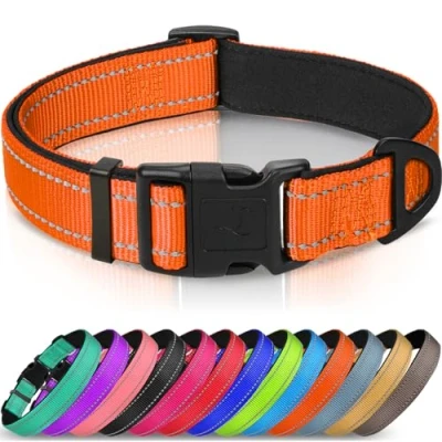 Image of Joytale Dog Collar, Reflective Padded Neoprene Pet Adjustable Nylon Collars for Small Dogs, S, Orange