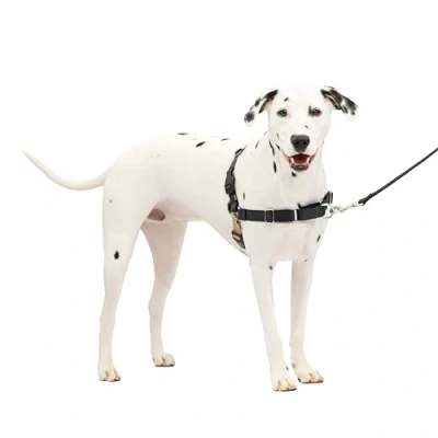 Image of PetSafe Easy Walk Harness, No Pull Walking Harness for Dogs, Adjustable Fit, Includes 1.8m Lead, Medium/Large Black