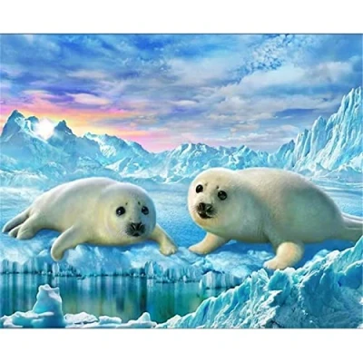 Image of Yoonqun 5D Diamond Painting Kit Animals Seal, Adults/Kids DIY by Numbers, Full Drill Embroidery Cross Stitch Art for Home Wall Decor Round 40x50cm(16x20inch)
