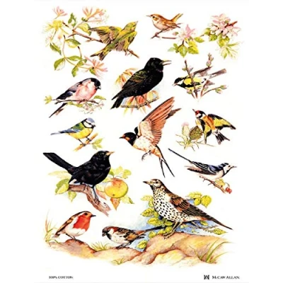 Image of Samuel Lamont British Birds Cotton Tea Towel, White, One Size