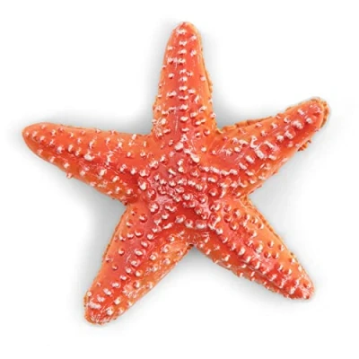 Image of Papo Starfish