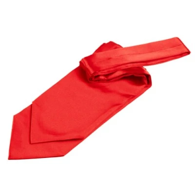 Image of DQT Men Plain Satin Wedding Formal Casual Groom Best Man Classic Ascot Self Tied Cravat Red