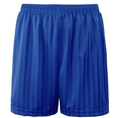 Image of JJLC Boys Girls School Sports Shorts PE Football Shadow Stripe (Royal Blue, 9 10 Years)