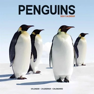 Image of Penguins Calendar 2024 Square Animal Wall 16 Month
