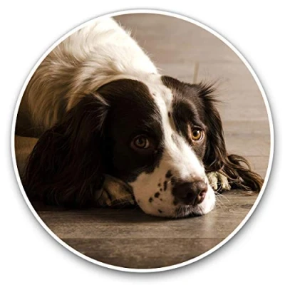 Image of 2 x 30cmVinyl Stickers Springer Spaniel Dog Puppy Animals Decals for Car Van Luggage Scrap Book Fridge #8725
