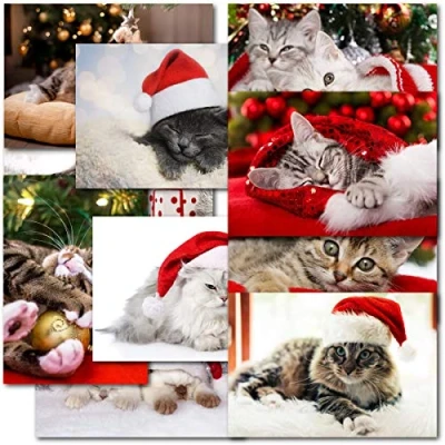 Image of Doodlecards Pack of 20 Mixed Box Cat Lovers Premium Christmas Cards