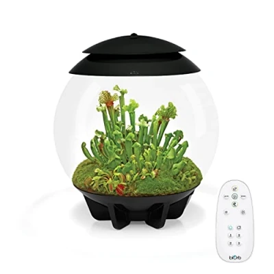 Image of biOrb AIR 30 black