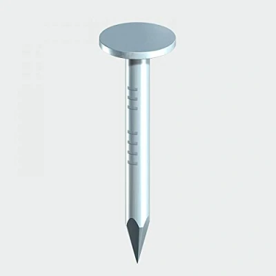 Image of 2x TIMCO Extra Large Head Clout Nails Galvanised GEC20LB