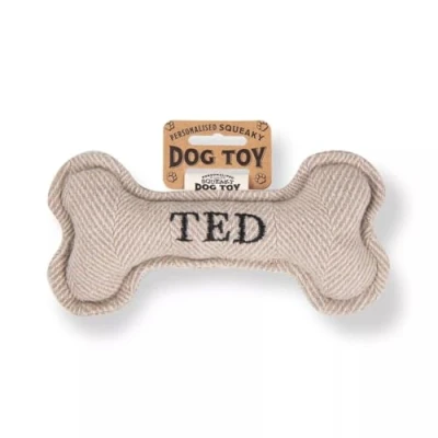 Image of History &amp; Heraldry Squeaky Dog Toy (Ted)