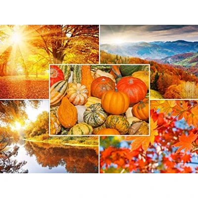 Image of Autumn Landscapes: Set of 20 Edition Colibri (10695 99) Postcards (5 Designs x 4 Items) for Postcrossing and Prolific Writers