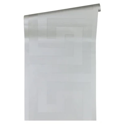 Image of Plain Wallpaper Versace 3 Non Woven 10.05 m x 0.70 Silver Made in Germany 935235 93523 5