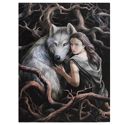 Image of Canvas Plaque Soul Bond by Anne Stokes H25cm X W19cm D1.5cm Pack of 1