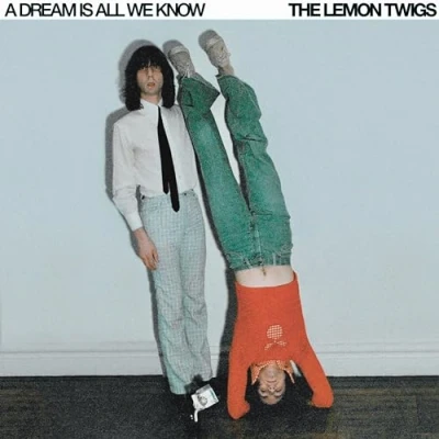 Image of A DREAM IS ALL WE KNOW [VINYL]