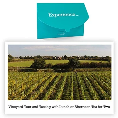 Image of Buyagift vineyard Tour and Tasting with Lunch or Afternoon Tea for Two visit a winery enjoy tasting, available at locations across the UK