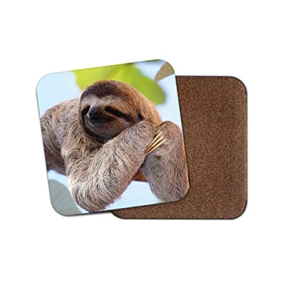 Image of 1 x Lazy Sloth Drinks Coaster Sloths Cute Animal Kids Funny Mum #8487