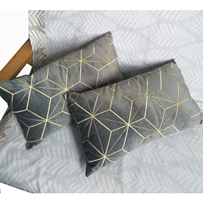 Image of ZUODUTEX Pack of 2 Rectangle Embroidered Grey Velvet Cushion Covers Decorative Throw Pillow Cover Case 30 x 50 Cm
