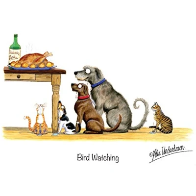 Image of &quot;Bird Watching&quot; Funny Dog and Cat Greeting Card by Alex Underdown