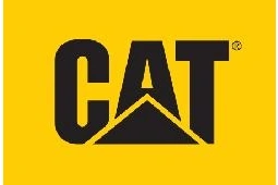 Cat Footwear Logo
