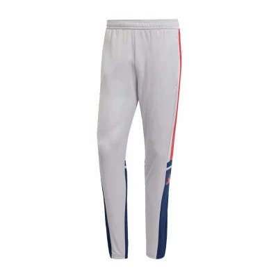 Image of adidas Men&#039;s SQUADRA25 Training Pant, Glory Grey/Team Navy Blue 2 / Pure Ruby, XS