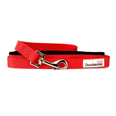 Image of Doodlebone Dog &amp; Puppy Leads 10 Bold Colours/3 Sizes (Small, Red)