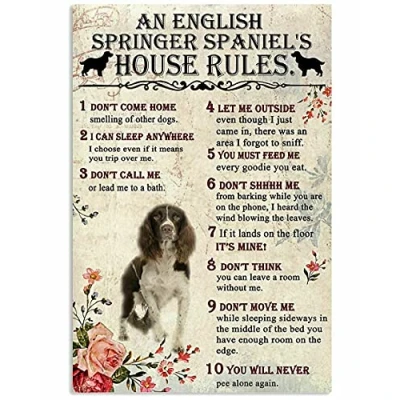 Image of TNND House Rules Of A Springer Spaniel Funny Dog Gift For Family Metal Sign Art Tin Poster 8x12 inch