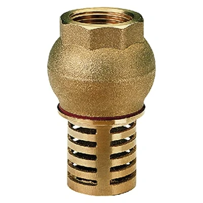 Image of 1&quot; BSP Female Check Foot Valve Suction Brass Non Return for Pump