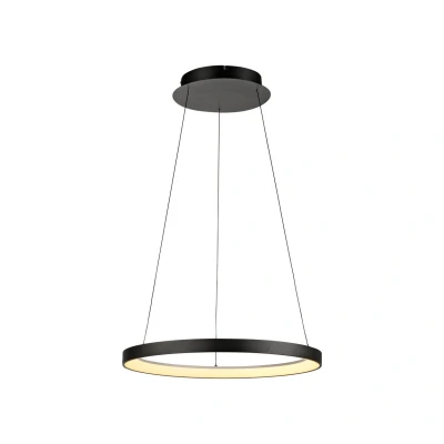Image of Paul Neuhaus LED hanging light Hoop, black, Ø 57 cm, dimmable