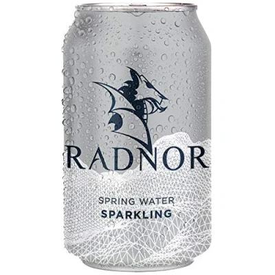 Image of Radnor Sparkling Spring Water Cans 330ml (Box 24)