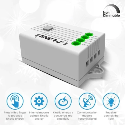 Image of RF Receiver For Non Dimmable Switches 2 Ways 5A 600W Ener J Pro Range