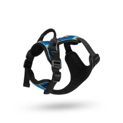 Image of Petface Outdoor Paws Adventure Dog Harness, Blue, Medium (Pack of 1)