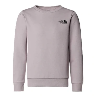Image of The North Face Simple DOME CREW Unisex Sweatshirt for kids, Size: 10y, Moonstone grey