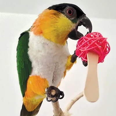 Image of Northern Parrots Popsicle Sticks Parrot Foot Toys Pack of 6
