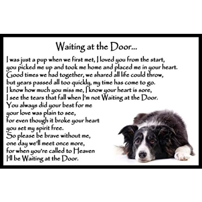 Image of Border Collie pet dog memorial bereavement Flexible Fridge Magnet Waiting at the Door
