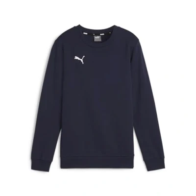 Image of PUMA teamGOAL Casuals Crew Neck Sweat Jr