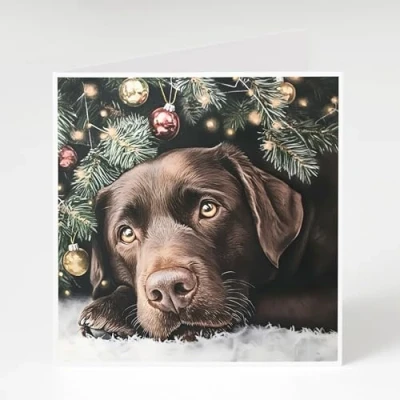 Image of brown Labrador Christmas Cards Pack of 5 labrodor under a tree. Printed on 300gsm card