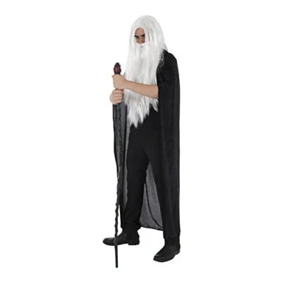 Image of Zac&#039;s Alter Ego Fancy Dress/Halloween 4 Piece Instant Wizard Kit World Book Day Dress
