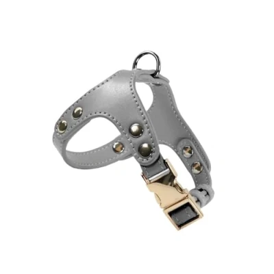 Image of Record Dog Harness London Soft Faux Leather Size XS Circumference 23.5 31 cm Grey Colour Practical Hook Ring and Metal Clip